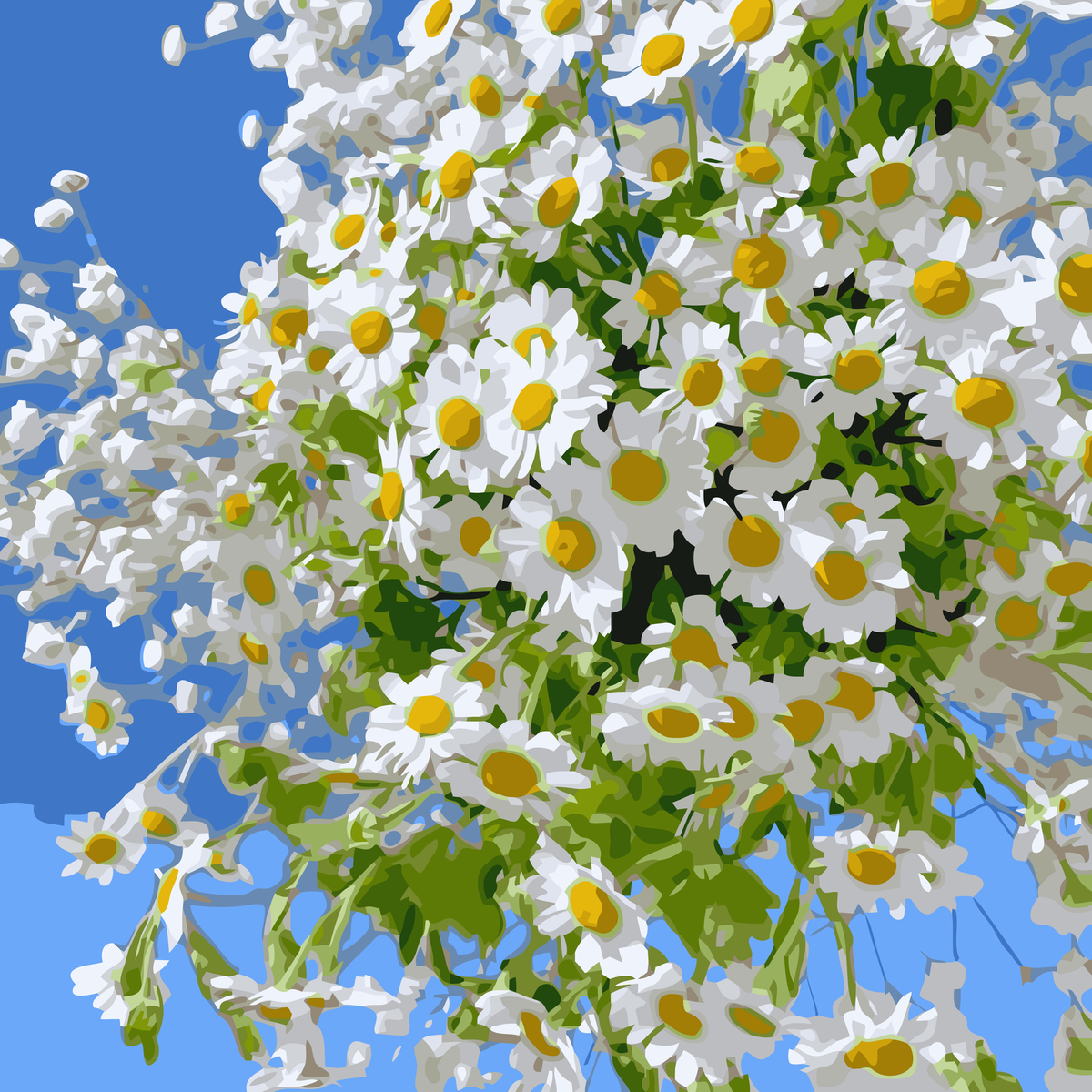 Graphic Daisy Bouquet original diamond painting artwork
