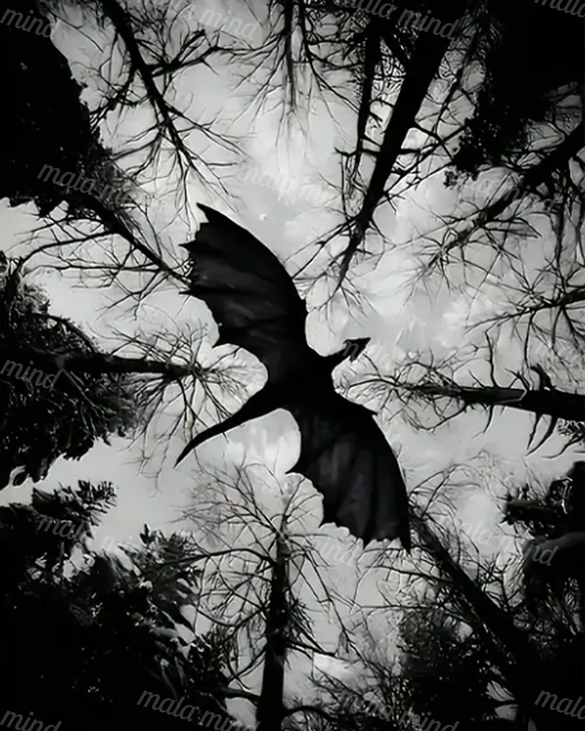 Black bird flying through a dense forest canopy against a pale sky — 02_master_artwork