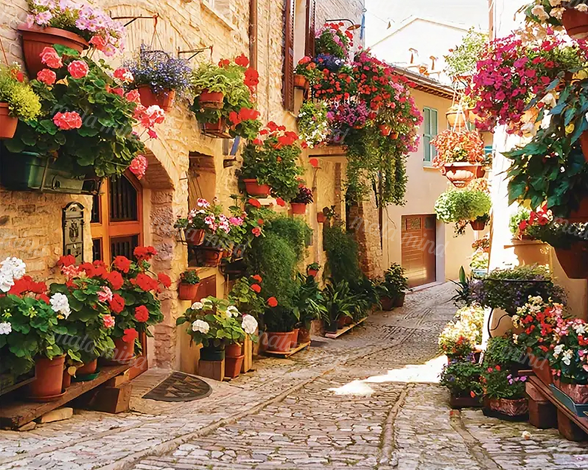 Sunlit cobblestone alley framed by stone buildings and abundant colorful potted flowers — 02_master_artwork