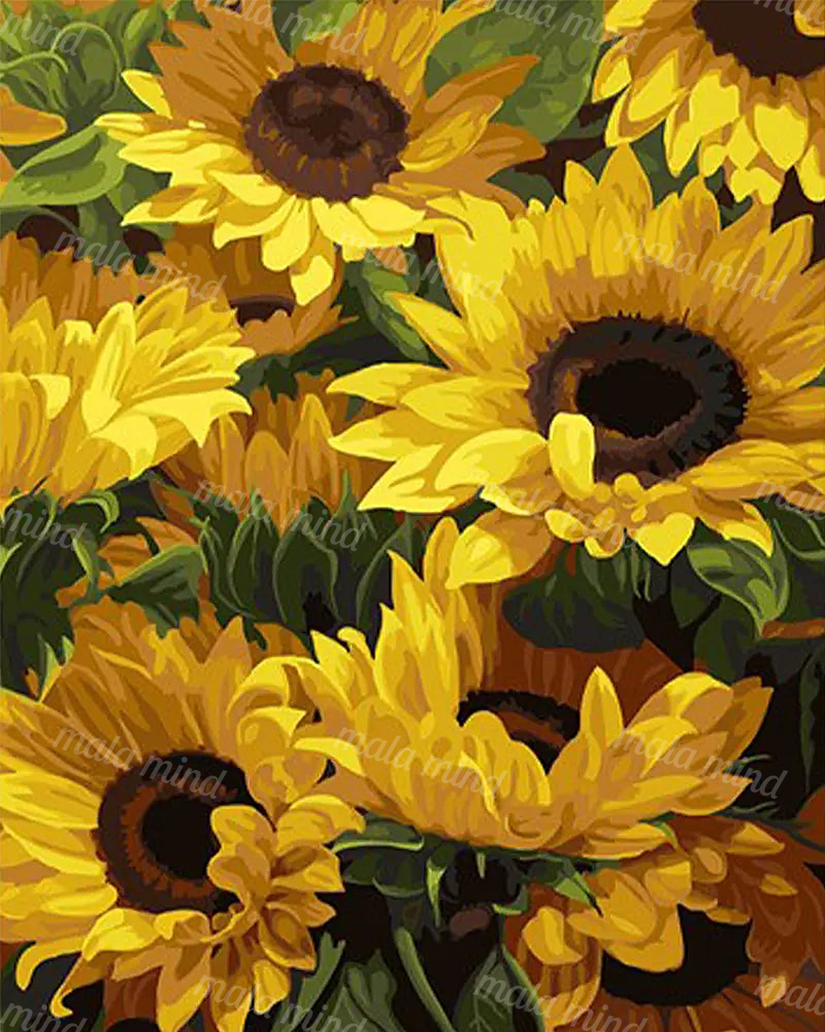 Tightly cropped cluster of yellow sunflowers with dark centers and green foliage. — 02_master_artwork