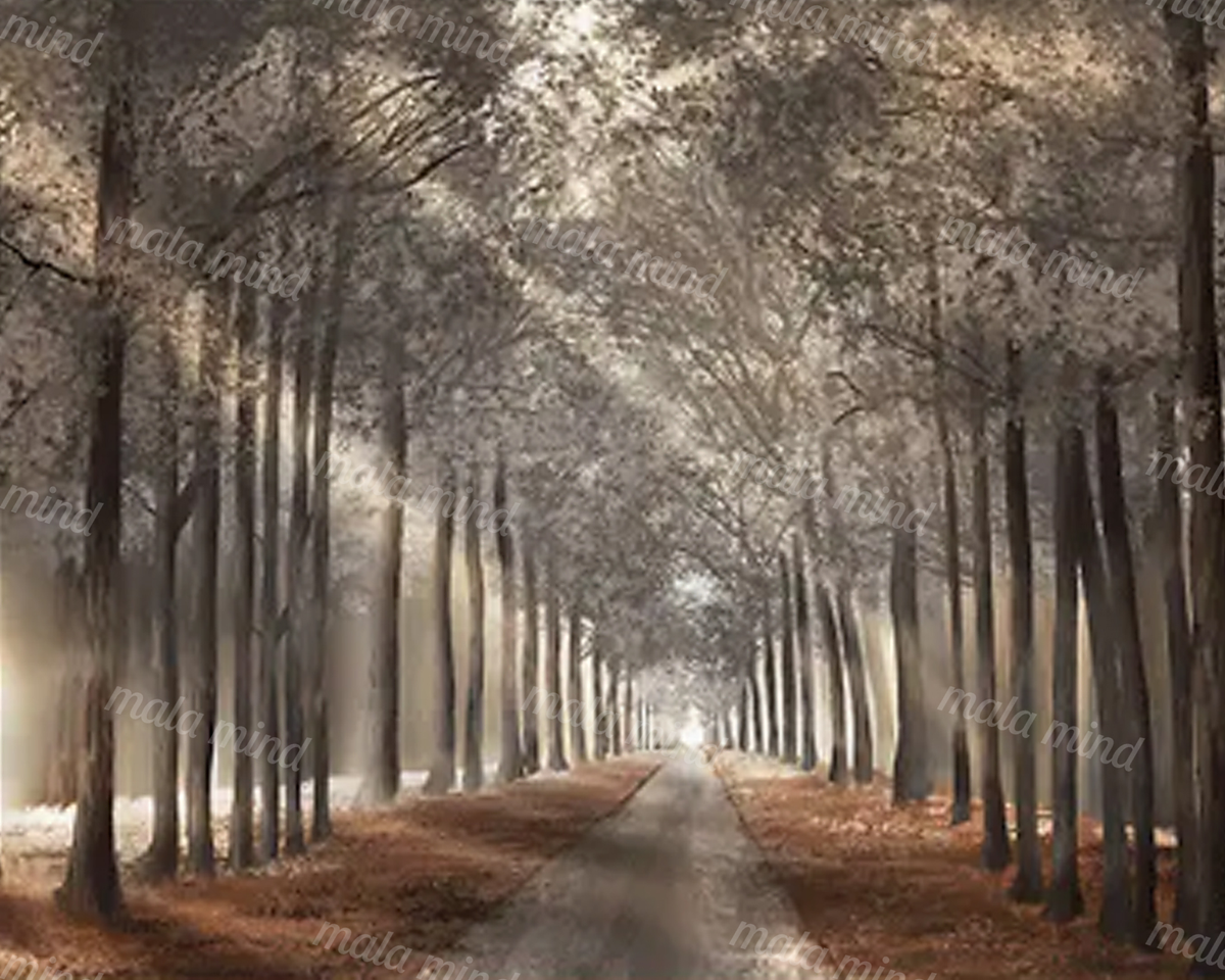 Tree-lined woodland road forming a tunnel toward a bright opening in the distance — 02_master_artwork