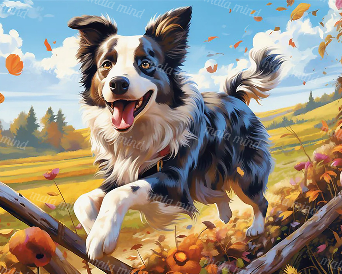 Black-and-white Border Collie running through an autumn field beneath a blue sky — 02_master_artwork