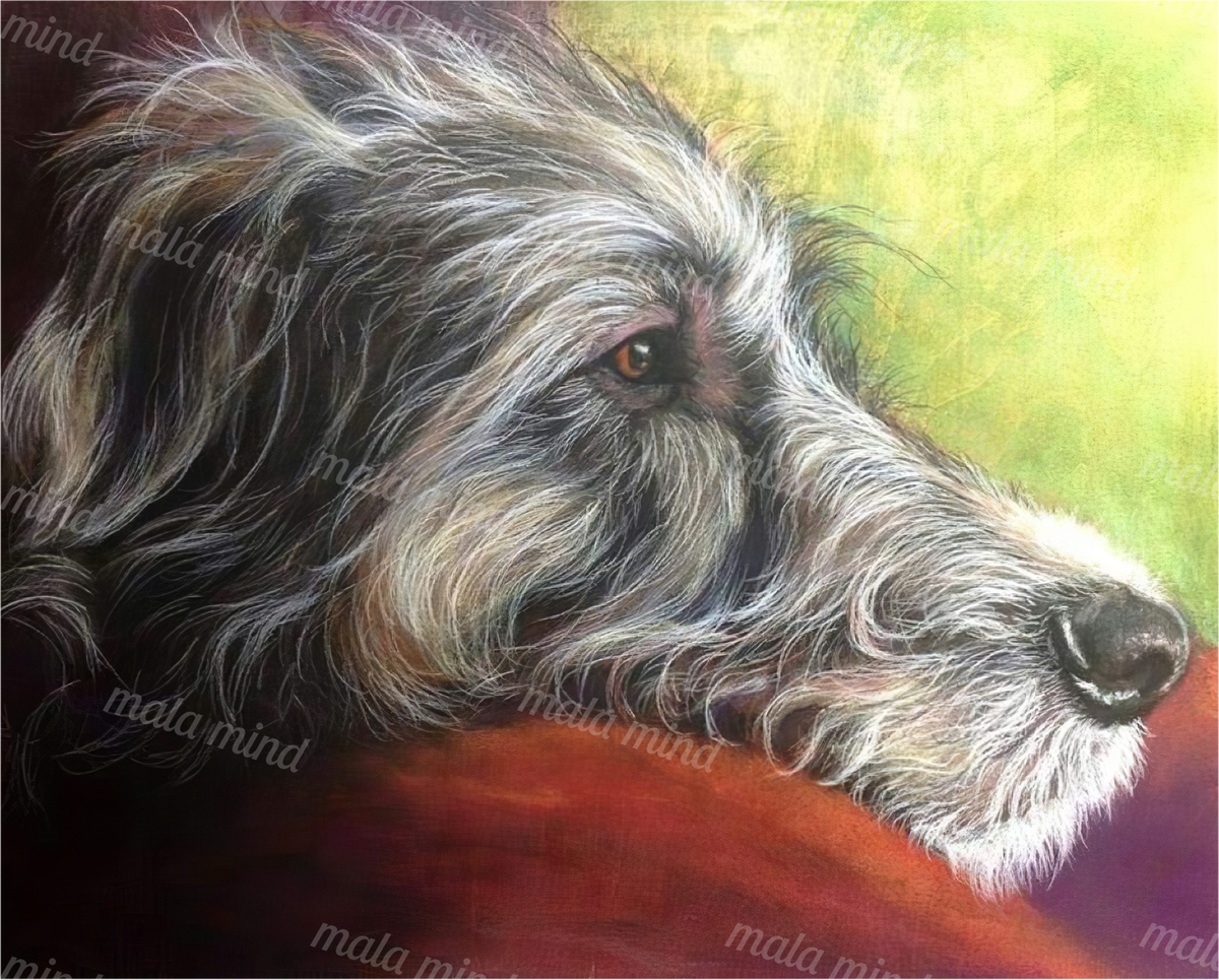 Painterly close-up of a shaggy black and gray dog with a white muzzle on a red surface. — 02_master_artwork