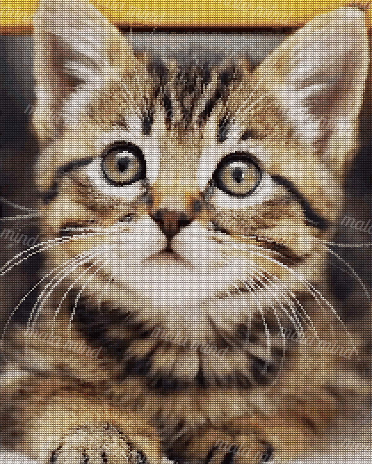 Close-up tabby kitten with greenish eyes, striped fur, white muzzle, whiskers, and front paws. — 04_diamond_render