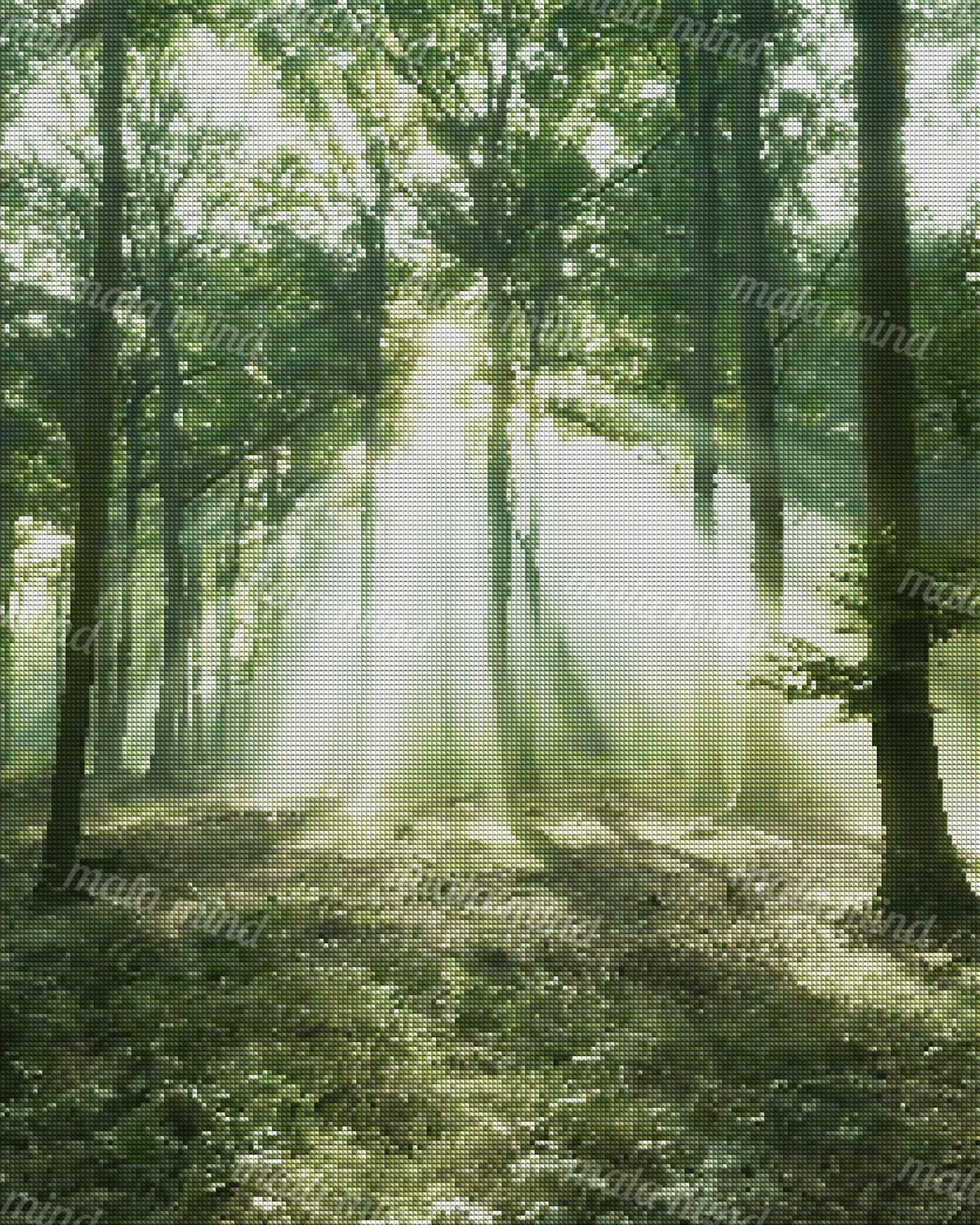 Sunlight streams through tall trees onto the hazy floor of a dense green deciduous forest. — 04_diamond_render