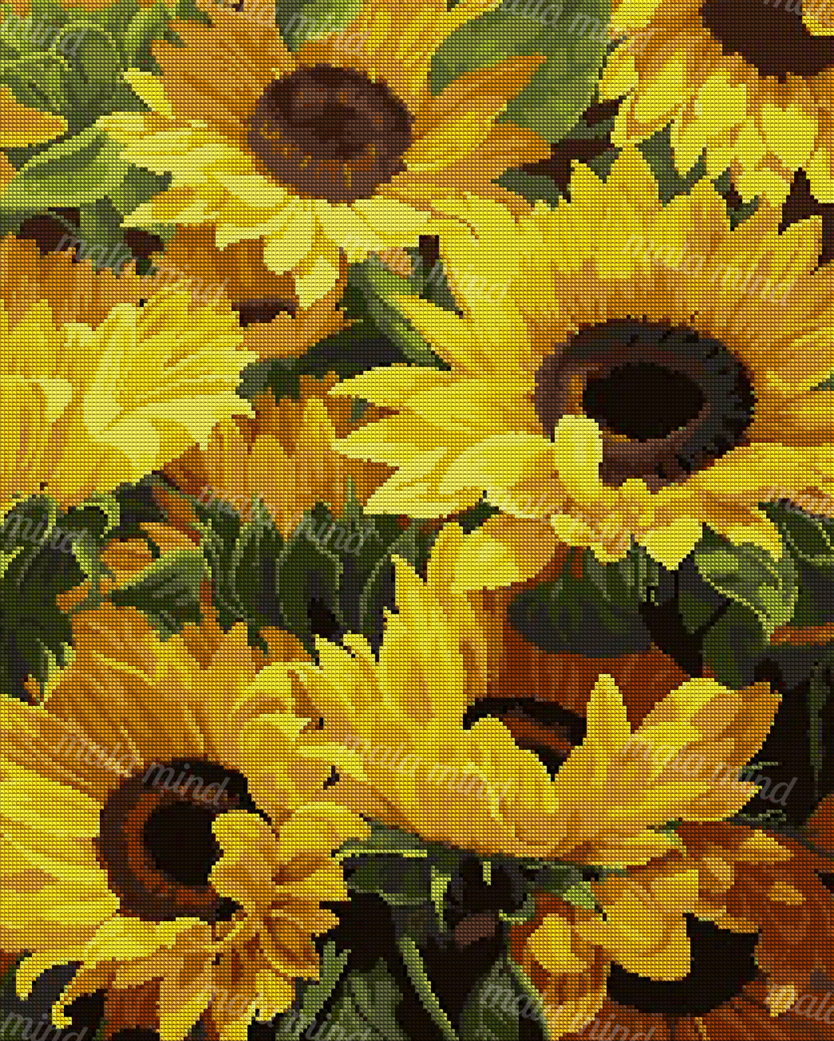 Tightly cropped cluster of yellow sunflowers with dark centers and green foliage. — 04_diamond_render