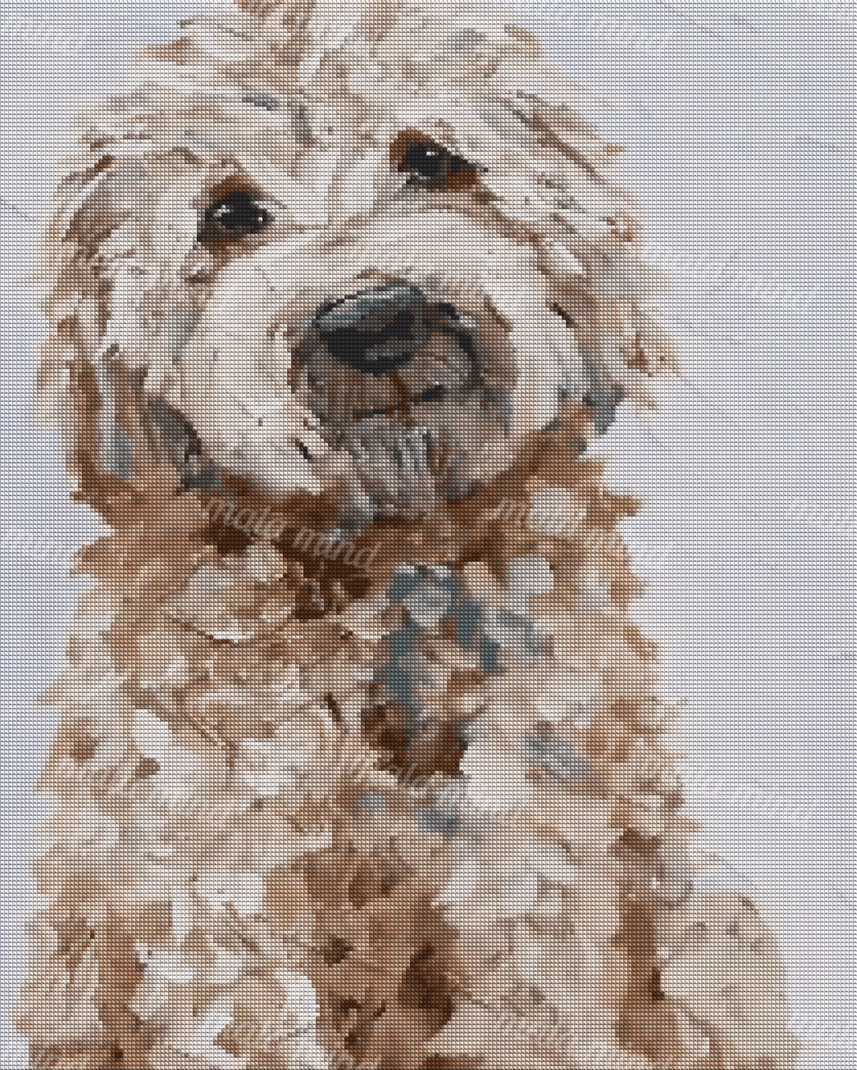Close-up painterly portrait of a shaggy cream-and-brown dog with dark eyes and a black nose. — 04_diamond_render