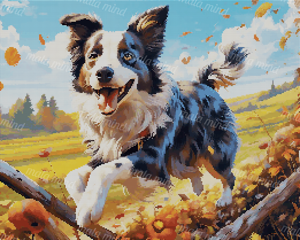 Black-and-white Border Collie running through an autumn field beneath a blue sky — 04_diamond_render
