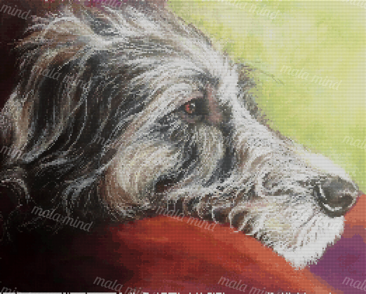 Painterly close-up of a shaggy black and gray dog with a white muzzle on a red surface. — 04_diamond_render