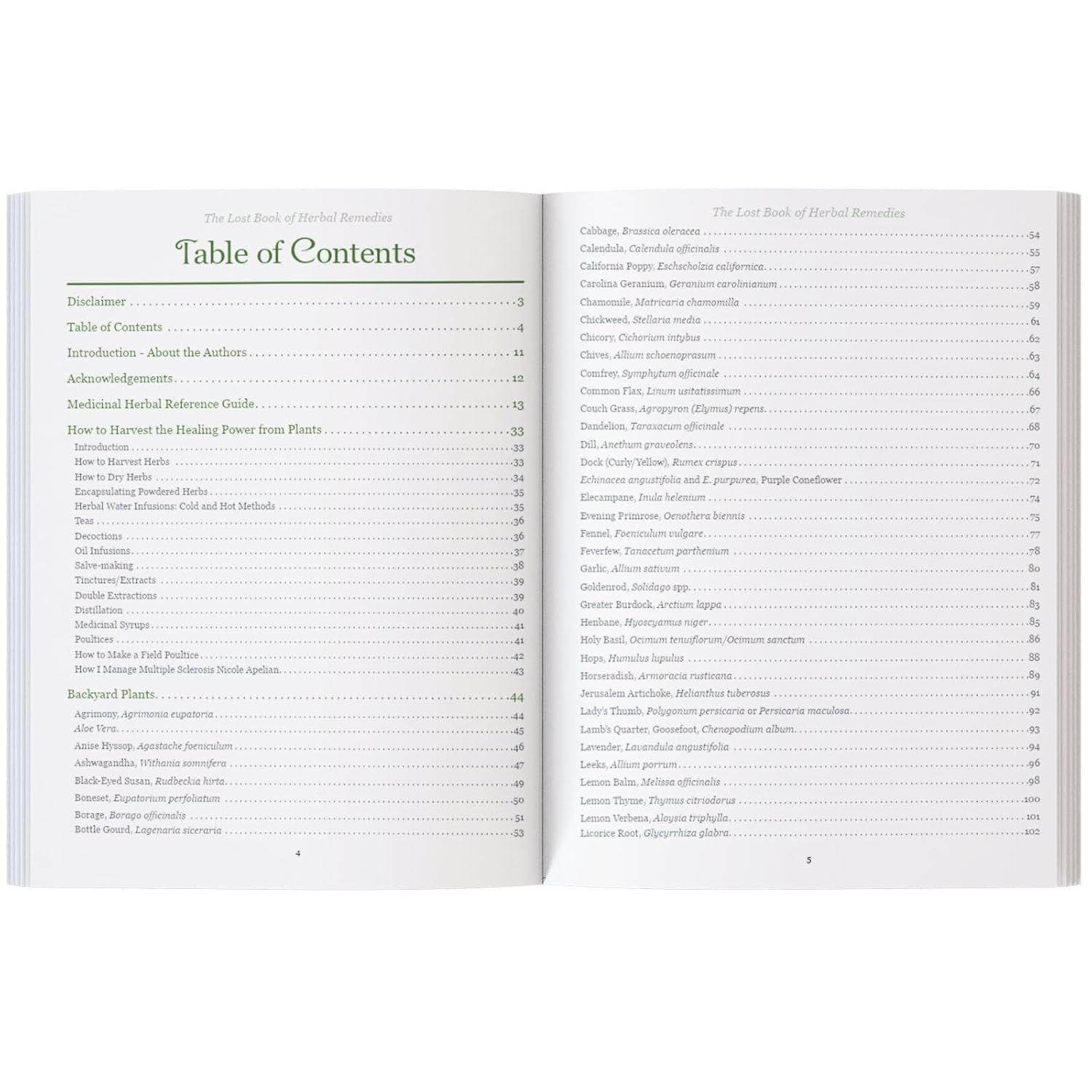 The Lost Book of Herbal Remedies: The Healing Power of Plant Medicine