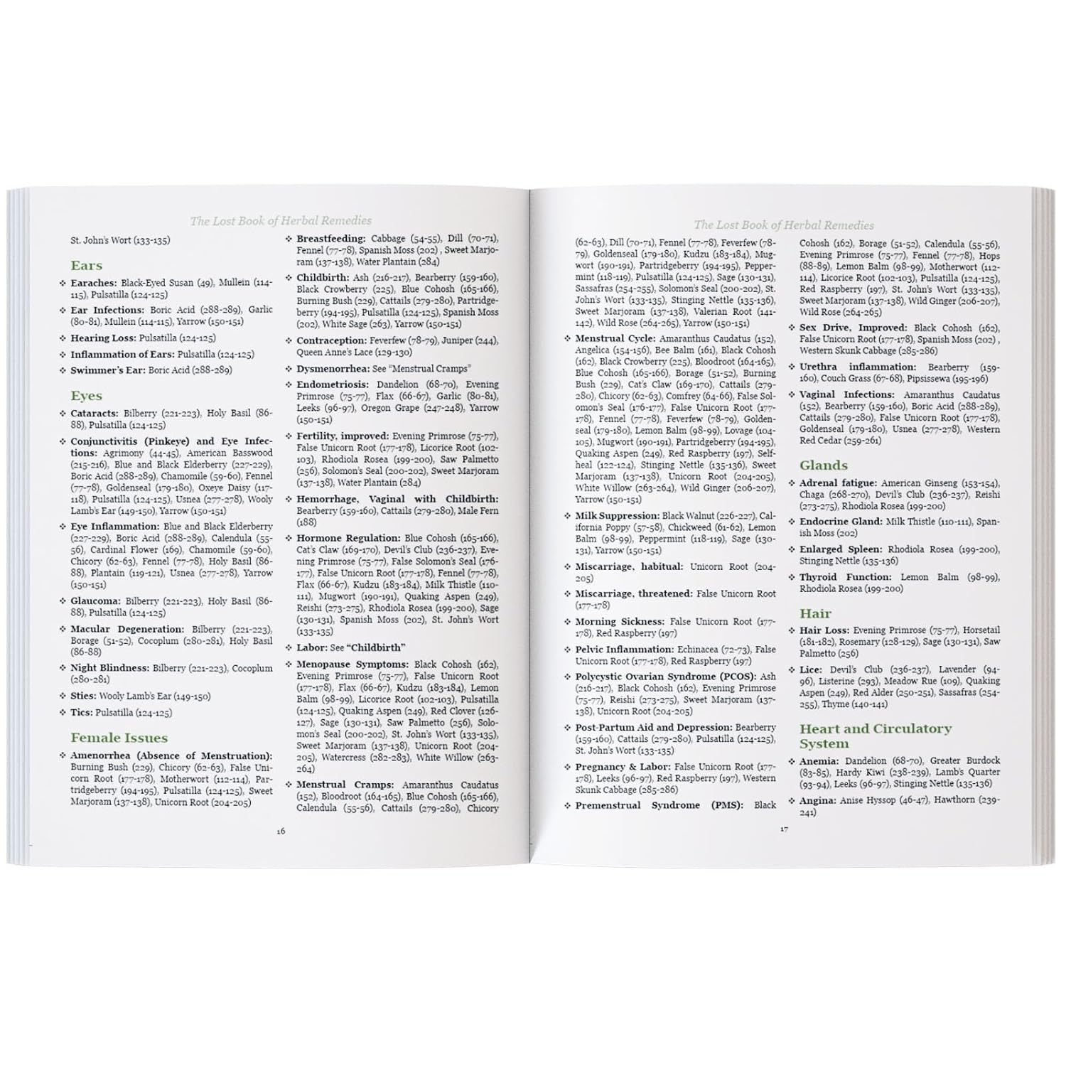 The Lost Book of Herbal Remedies: The Healing Power of Plant Medicine