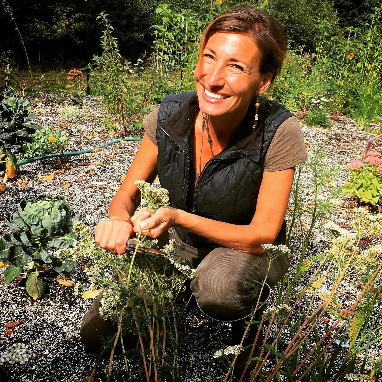 The Lost Book of Herbal Remedies: The Healing Power of Plant Medicine