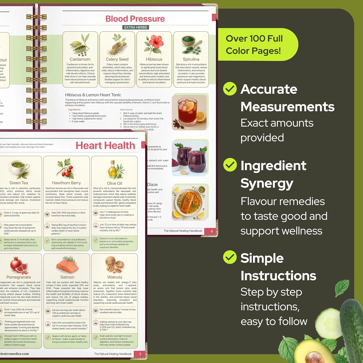 The Natural Healing Handbook - Simple Recipes & Remedies