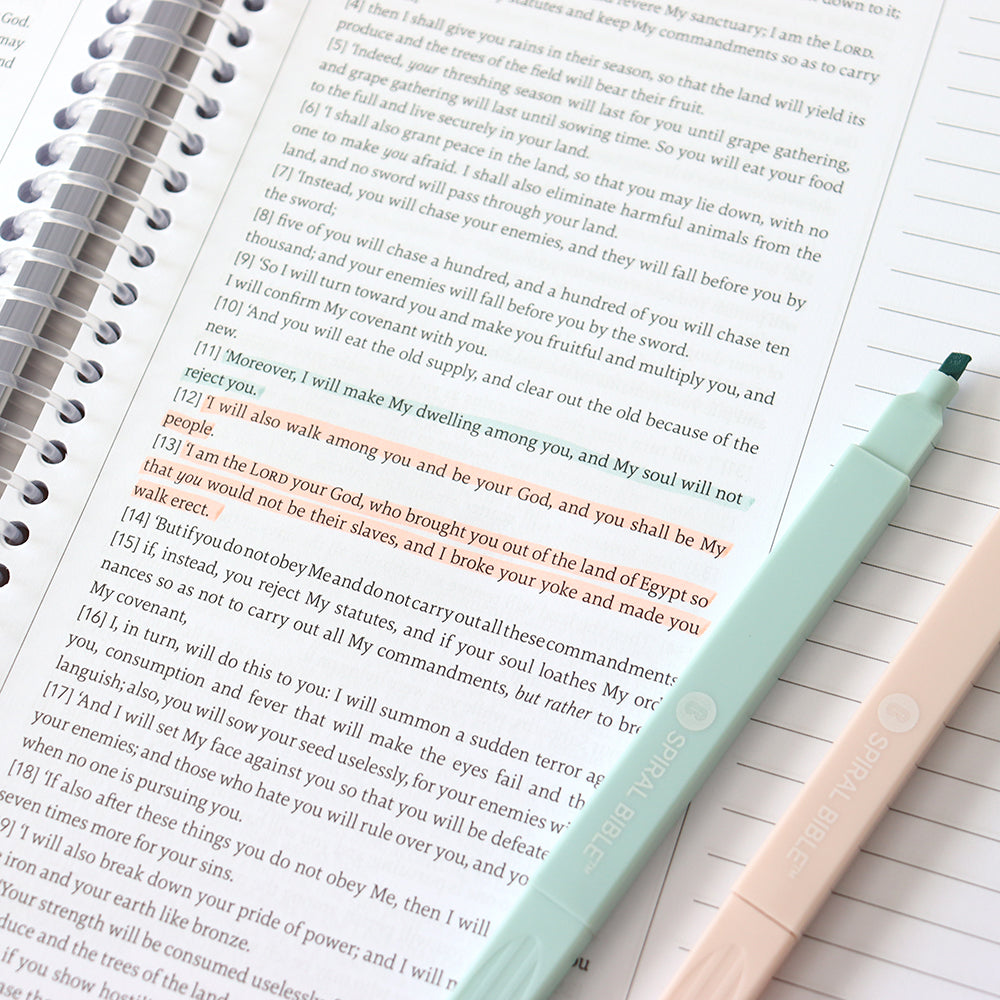 Bible Highlighters – 6 Soft Tip No-Bleed Pens, Quick Dry, Aesthetic Colors