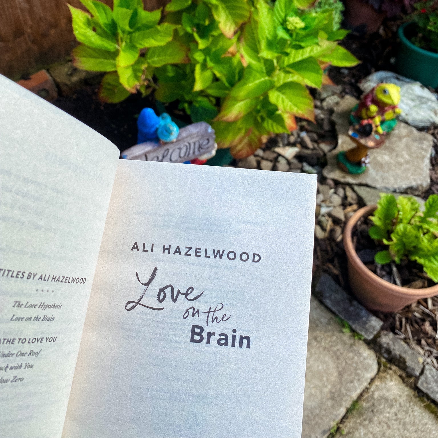 Love On The Brain By Ali Hazelwood Love Story Romance Novel