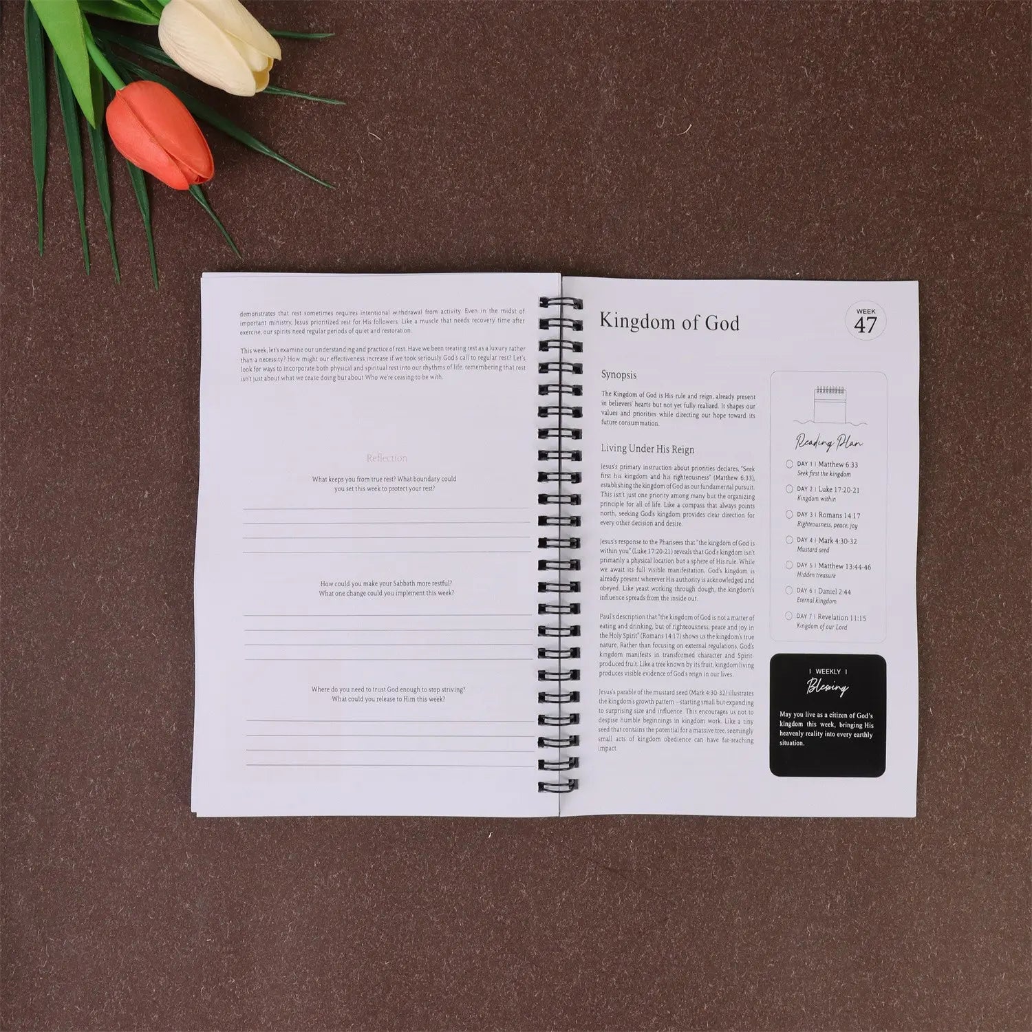 The Bible In 52 Week For Women - One-Year Bible Reading Journal