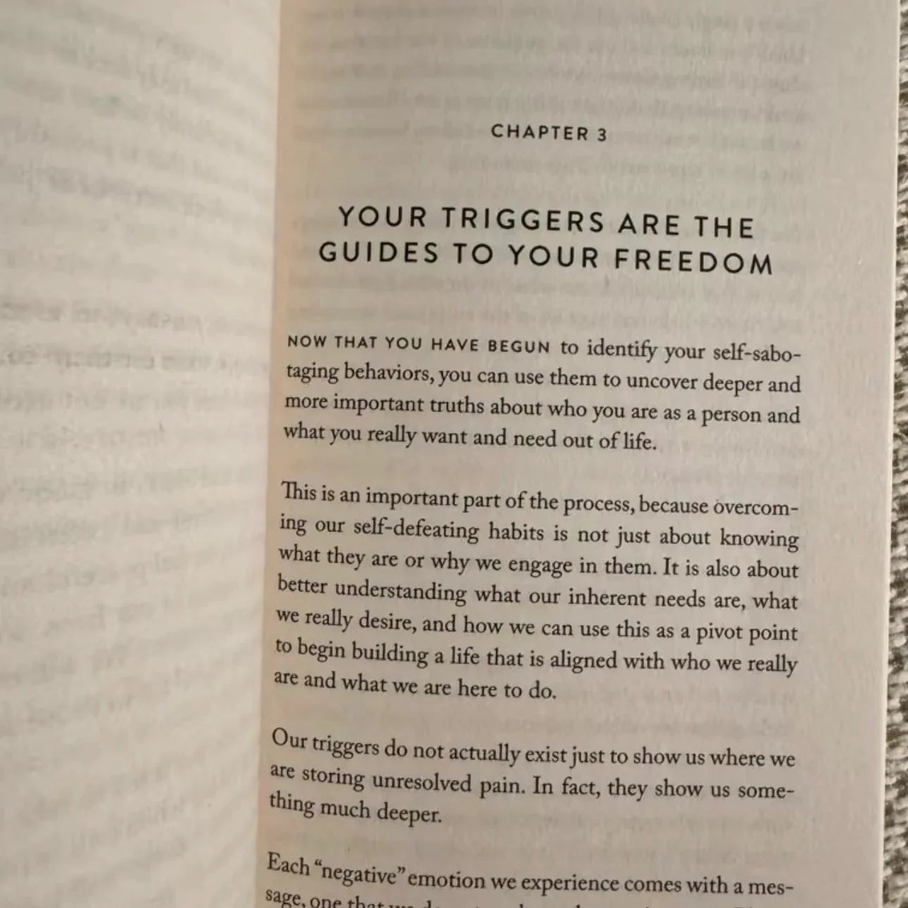 The Mountain Is You: Transforming Self-Sabotage Into Self-Mastery