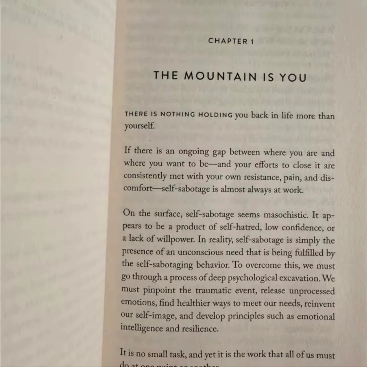 The Mountain Is You: Transforming Self-Sabotage Into Self-Mastery