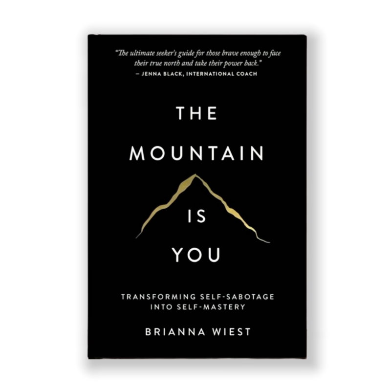 The Mountain Is You: Transforming Self-Sabotage Into Self-Mastery