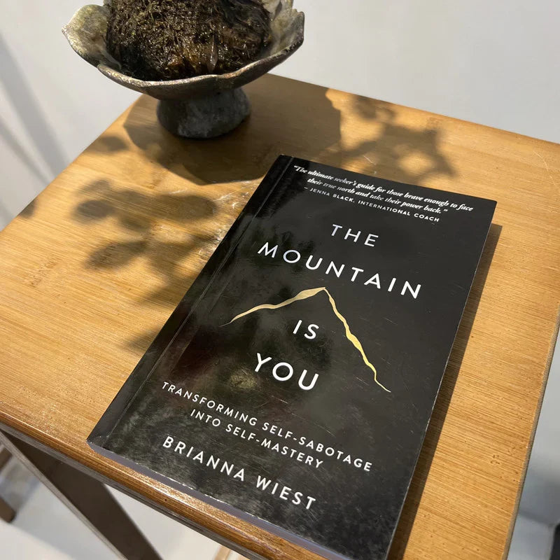 The Mountain Is You: Transforming Self-Sabotage Into Self-Mastery