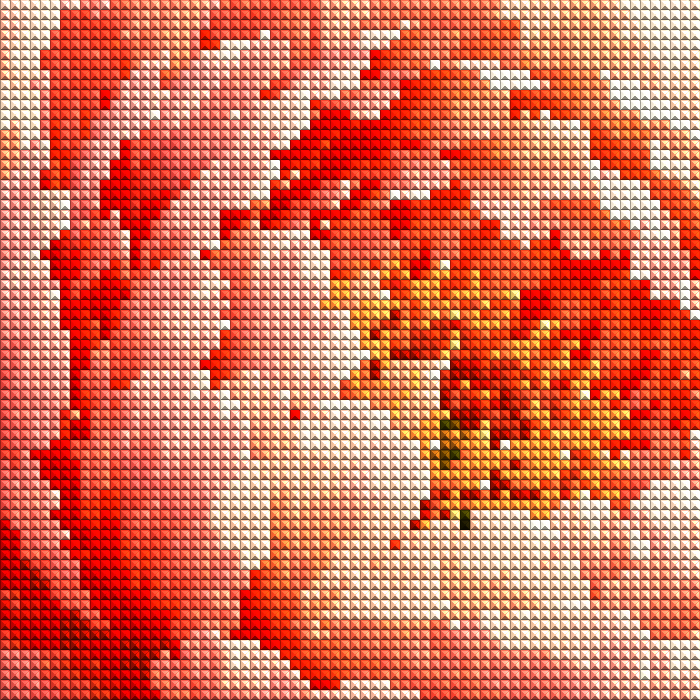40 × 50 cm