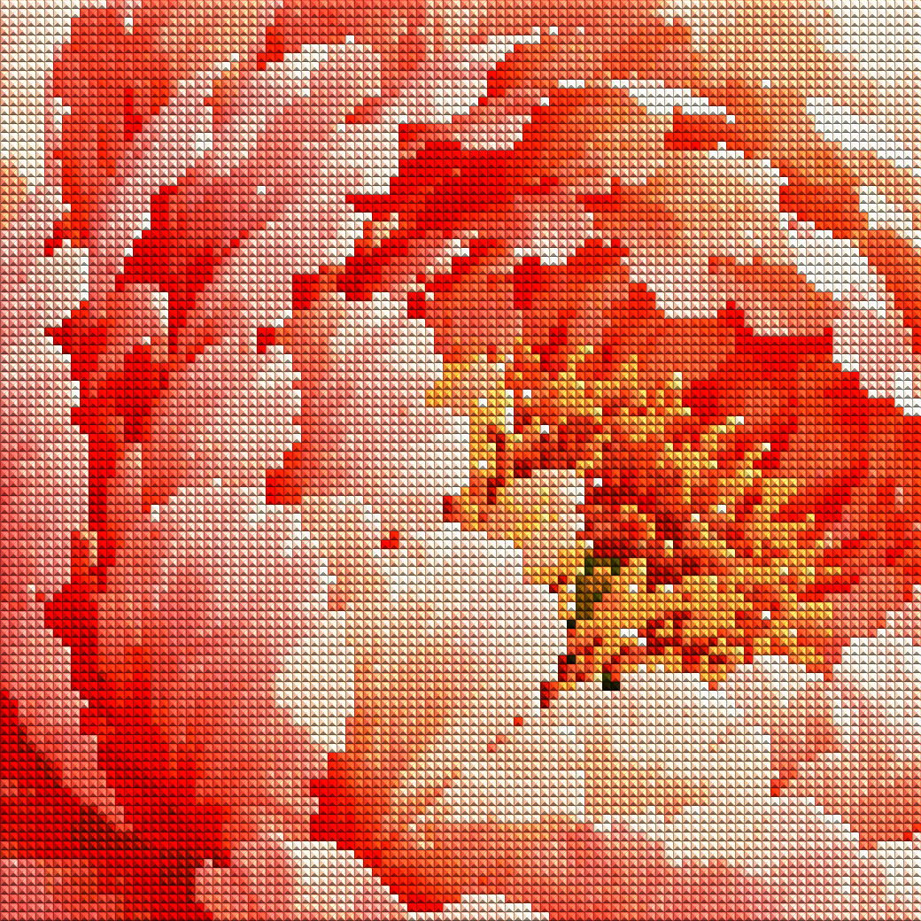 60 × 75 cm