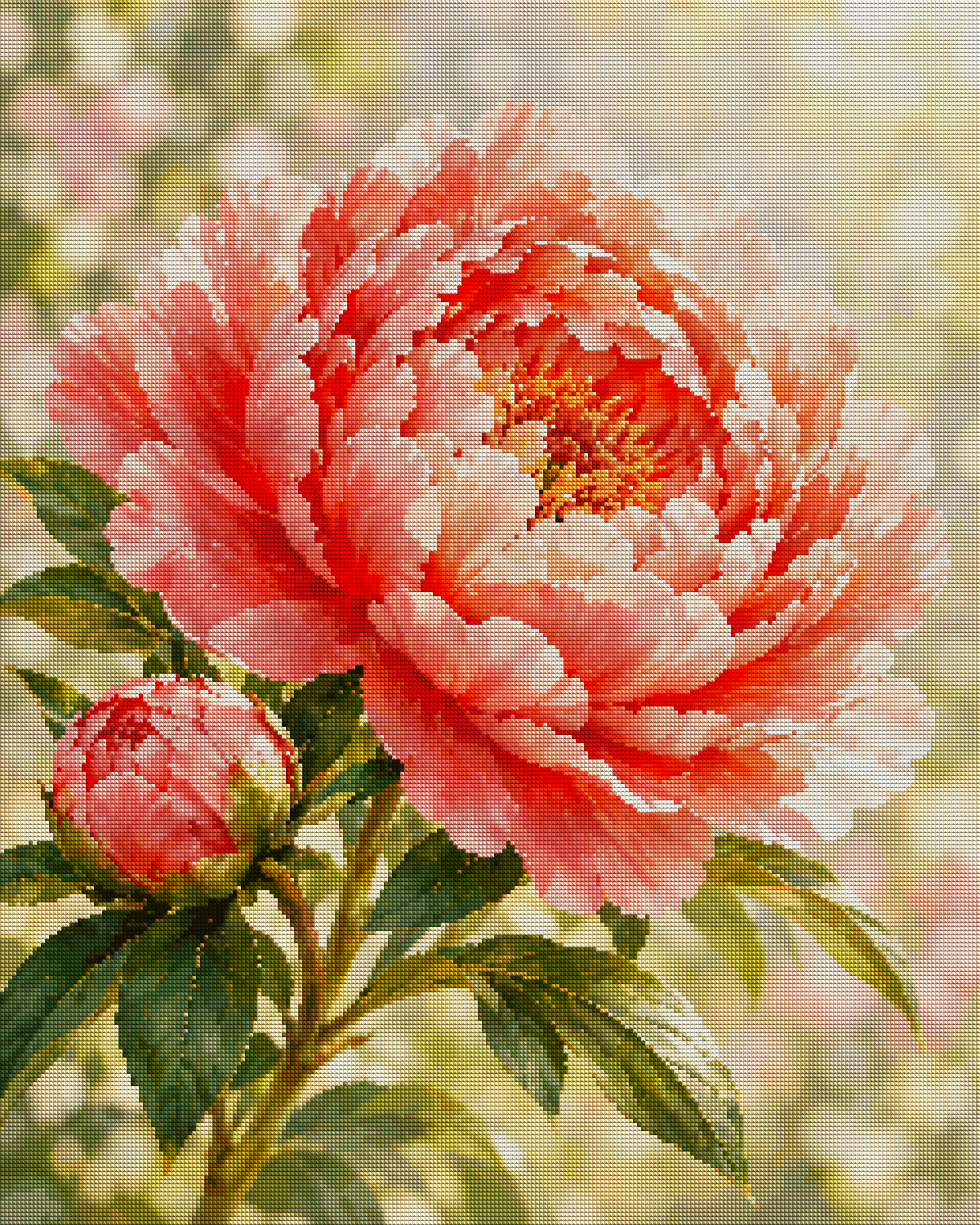 60 × 75 cm